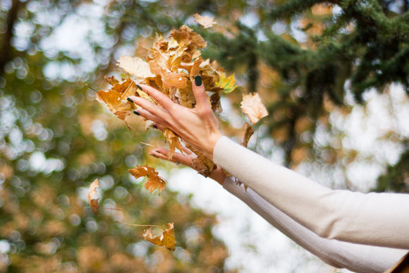 Herfst & winterwijnen